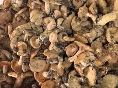 -双喜农庄·菌香园(安居家园店)