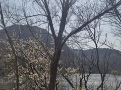 -金龙寺国家森林公园