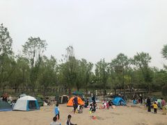 -东郊湿地公园