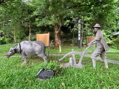 -广州神农草堂中医药博物馆
