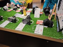 -顺电·脉(浦东嘉里城店)