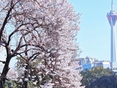 -红星桥(地铁站)