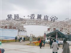 -紫颐香薰山谷景区