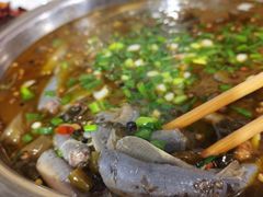 野生鳝鱼-盘龙黄鳝(盘龙居店)