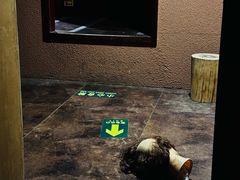 -明日世界密室轰趴·剧本桌游·箭馆团建(国贸店)