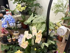 -Flower in(密渡桥店)