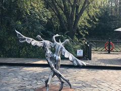-同里国家湿地公园