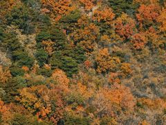 -北京鹫峰国家森林公园