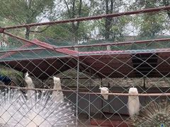 -张公山寨景区