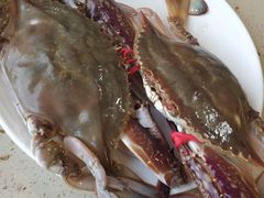 -港畔赶海蒸汽海鲜烧烤自助(仙螺岛店)