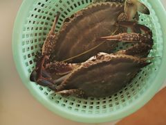 -港畔赶海蒸汽海鲜烧烤自助(仙螺岛店)