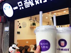 -一只酸奶牛(八一路店)