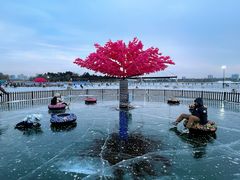 -长春市南湖公园