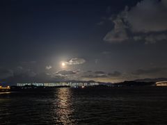 -深圳湾公园(南山区)