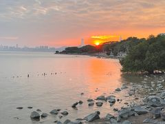 -深圳湾公园(南山区)