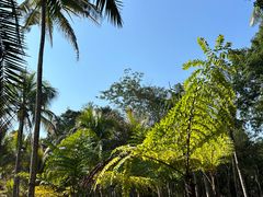 -中国科学院西双版纳热带植物园
