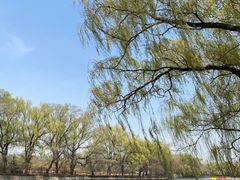 -北陵公园
