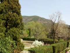 -北京植物园-展览温室