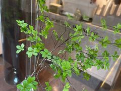 -Eu2+ coffee(上大路店)