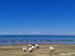 -青海湖国家重点风景名胜区