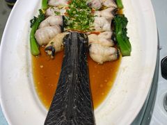 清蒸鸭嘴鱼（斤）-莲花餐饮(高新店)