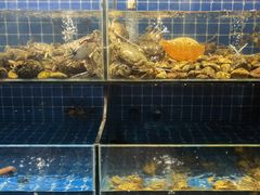 -健眺小海鲜(临海后山店)