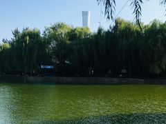 -团结湖公园