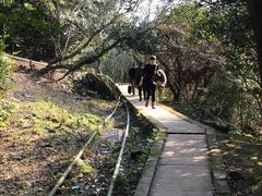 -普陀山慧济禅寺