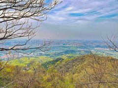 -紫金山山顶公园