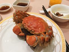 -王宝和酒家(黄浦店)