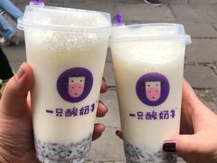 -一只酸奶牛(八一路店)