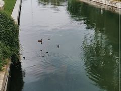 -元大都城垣遗址公园