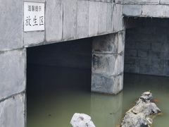 -长春观
