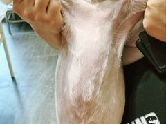 -汤姆宠物(长青北路店)