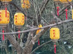 -常德桃花源景区