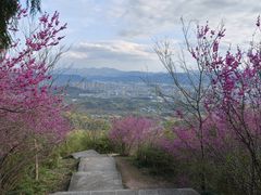 -天台山赤城山景区