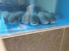 -启香鸡私房菜(湖景店)