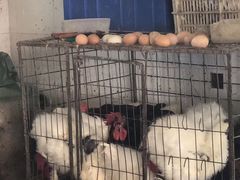 -恒达综合农贸市场(黄山路店)