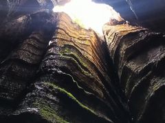 -梭布垭石林景区