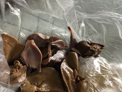 -杨震卤菜旗舰店