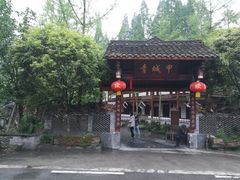 -青城甲(青城山店)