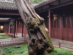 -太平天国侍王府