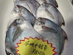 -77号渔船·蒸海鲜青岛菜(积米崖店)