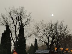 -大槐树寻根祭祖园