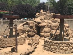 -西安秦岭野生动物园