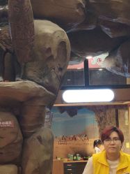 -卡通尼·Safari非洲探索乐园·生日会(金桥国际商业广场店)