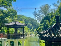 -火炉山森林公园