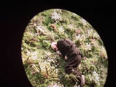 -万达影城(大明宫万达广场IMAX店)