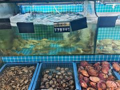 -老东镇啤酒屋海鲜加工·蒸汽海鲜·海鲜烧烤(台东店)