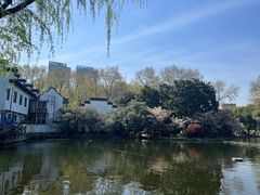 -上海共青森林公园